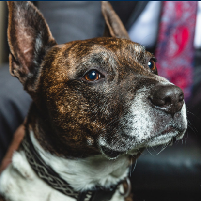 Titus Photo